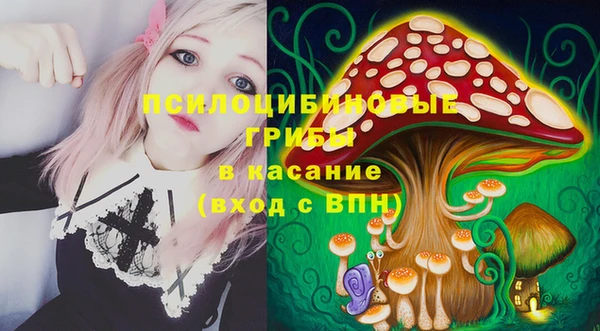 СК Алексеевка