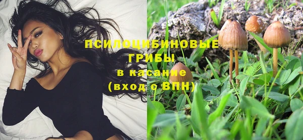 прущая мука Алексин