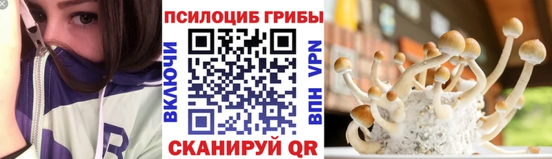 Купить закладки  Саяногорск  Галлюциногенные грибы ЛСД 